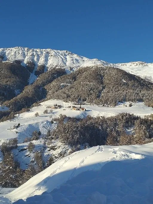 Winter am Frinighof