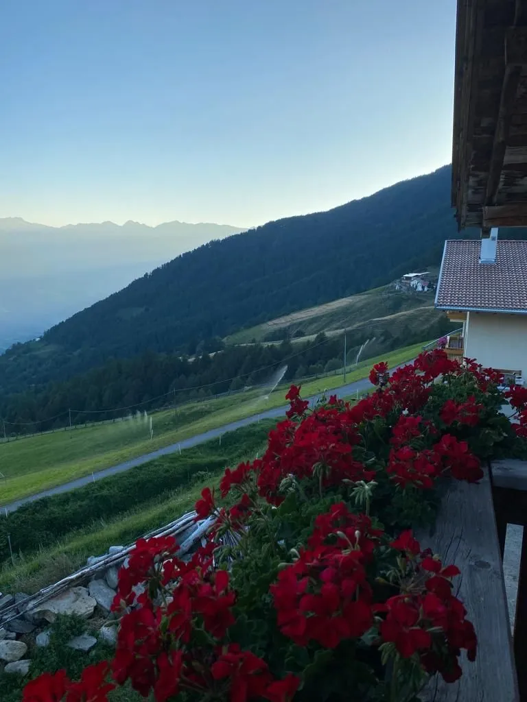 Blick vom Balkon