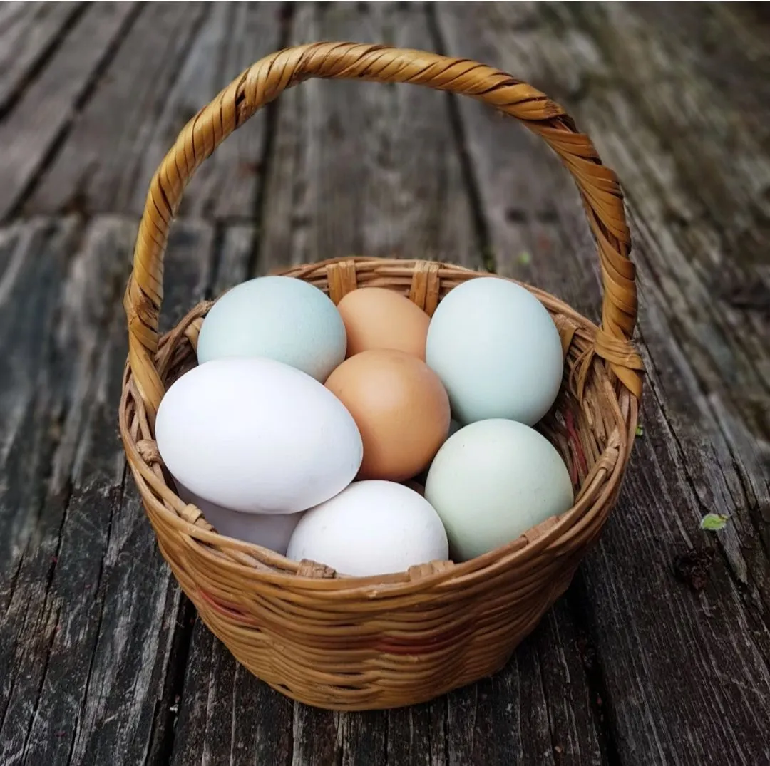 Frische Eier, Milch und Kräuter vom Bauernhof